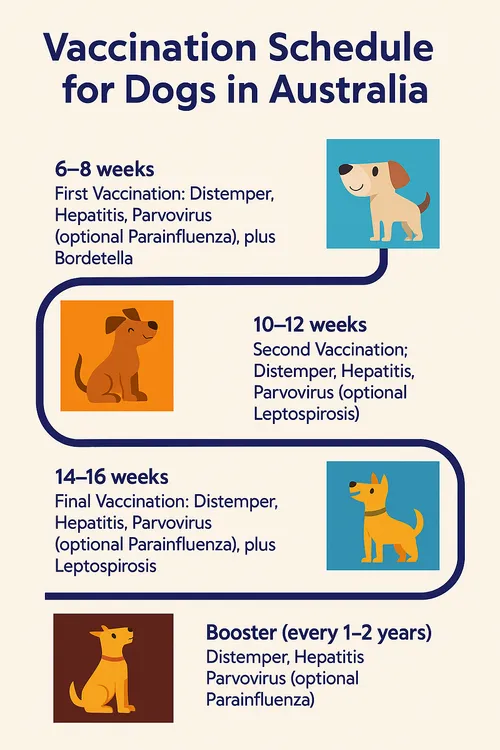 schedule vaccination
